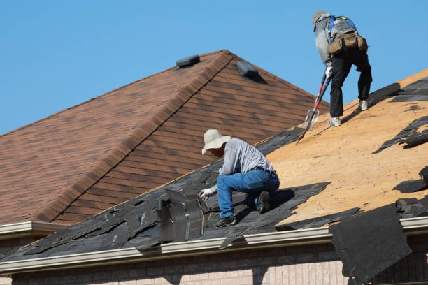 Best Storm Damage Roof Repair  in Sughter, LA