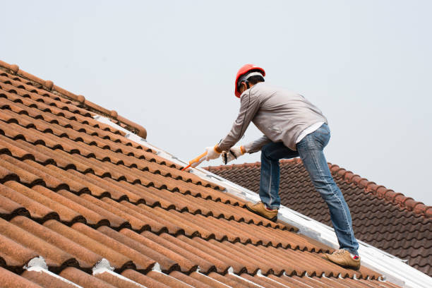 Best Asphalt Shingle Roofing  in Sughter, LA